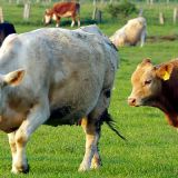 IMGP9164 von Jochen Ruser